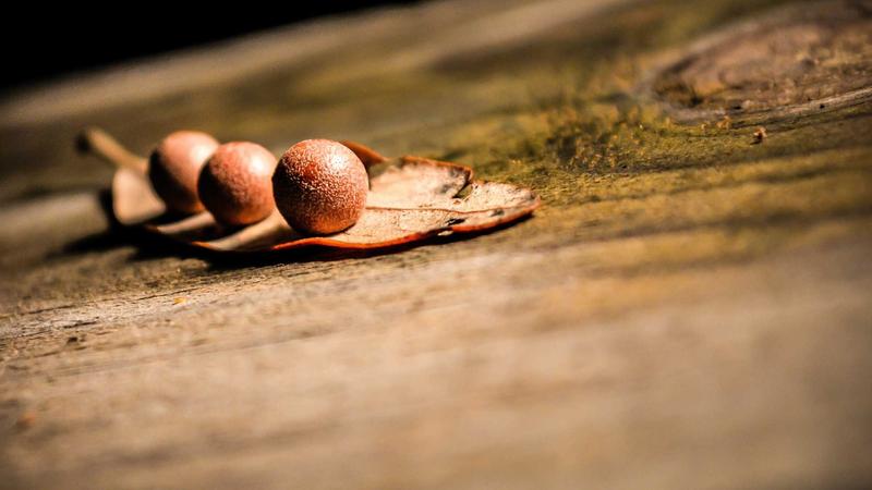 Featured image for Agntlog Com article