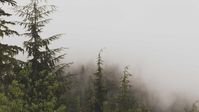 Featured image for Agntlog Com article