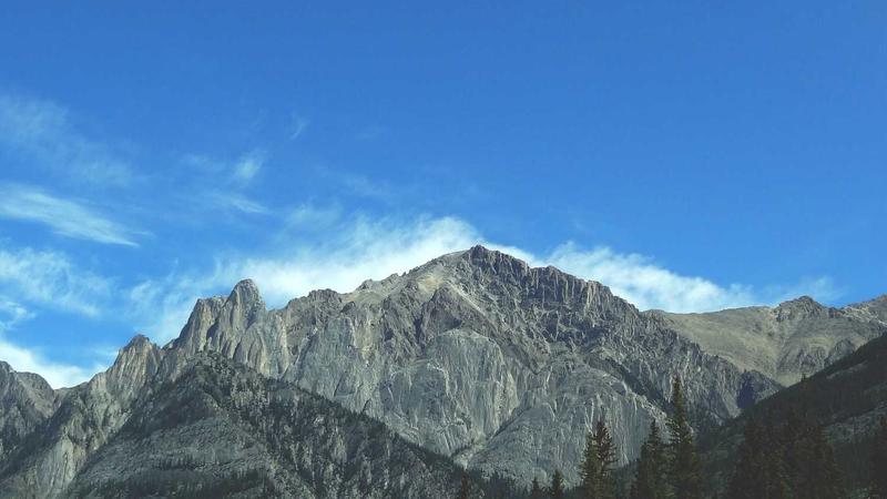 Featured image for Agntlog Com article