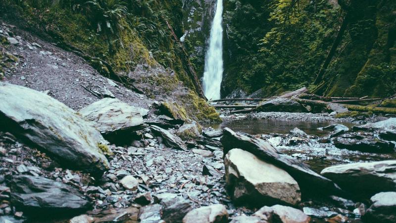 Featured image for Agntlog Com article