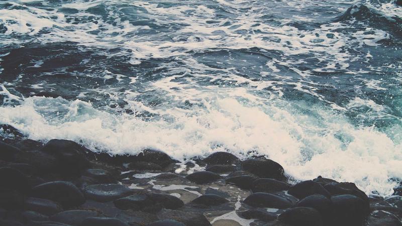 Featured image for Agntlog Com article