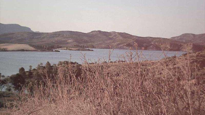 Featured image for Agntlog Com article