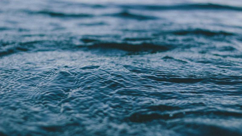 Featured image for Agntlog Com article