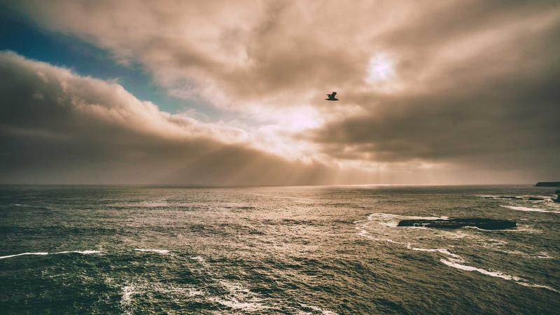 Featured image for Agntlog Com article