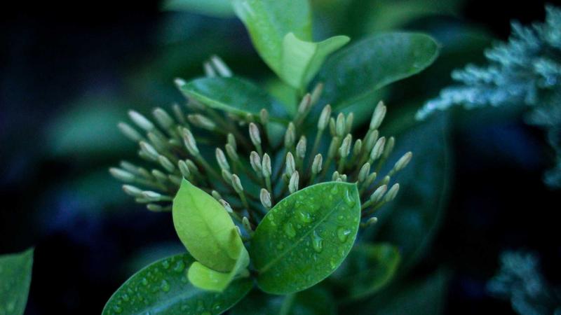 Featured image for Agntlog Com article