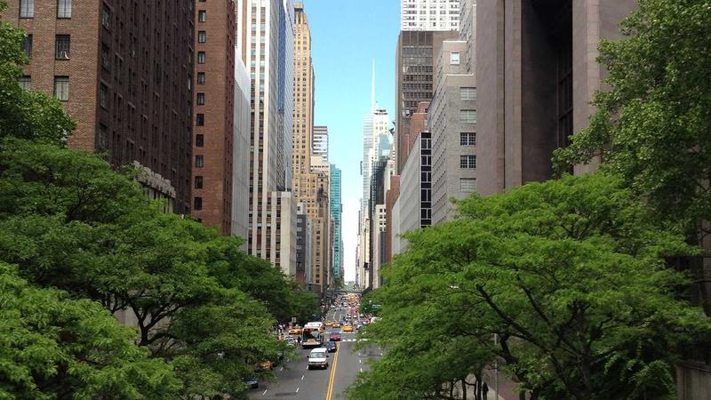 Featured image for Agntlog Com article