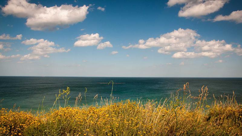 Featured image for Agntlog Com article