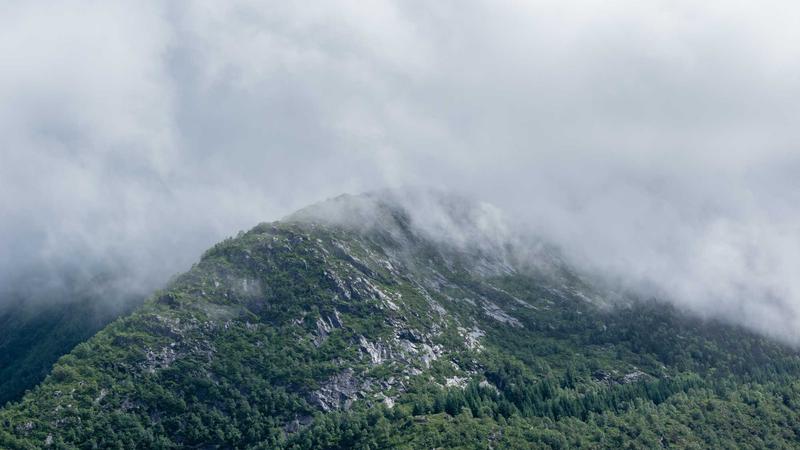 Featured image for Agntlog Com article