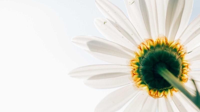 Featured image for Agntlog Com article