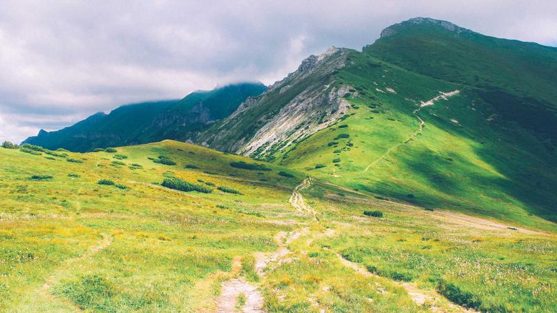 Featured image for Agntlog Com article