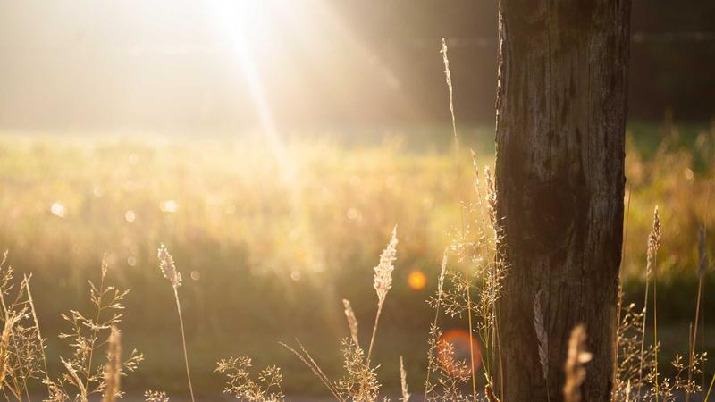 Featured image for Agntlog Com article