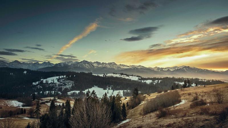 Featured image for Agntlog Com article