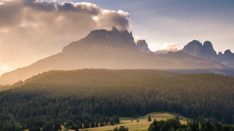 Featured image for Agntlog Com article