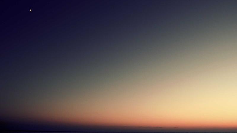 Featured image for Agntlog Com article