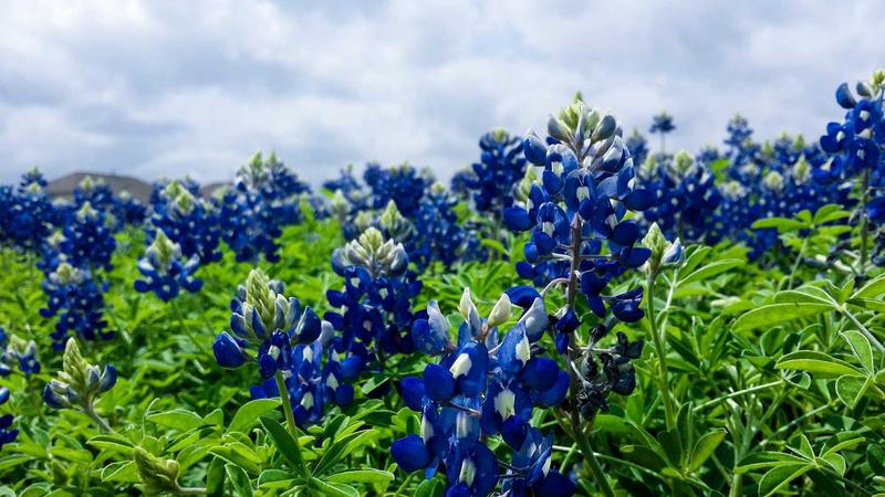 Featured image for Agntlog Com article