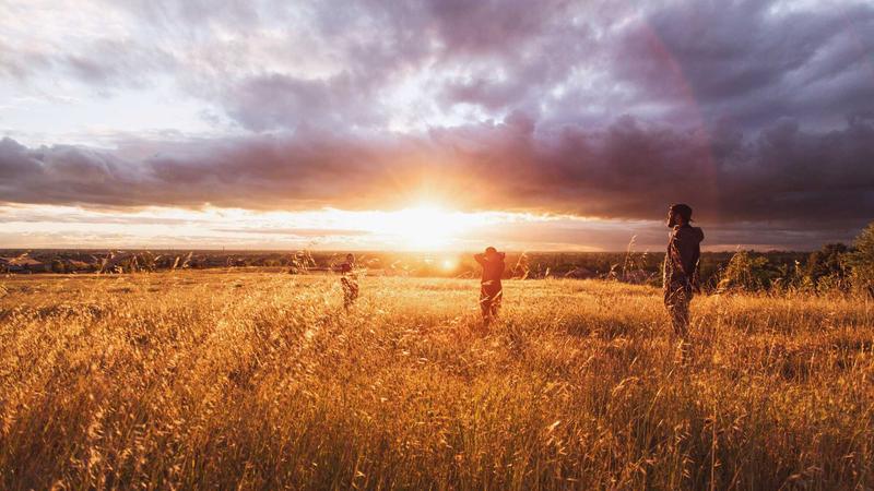 Featured image for Agntlog Com article