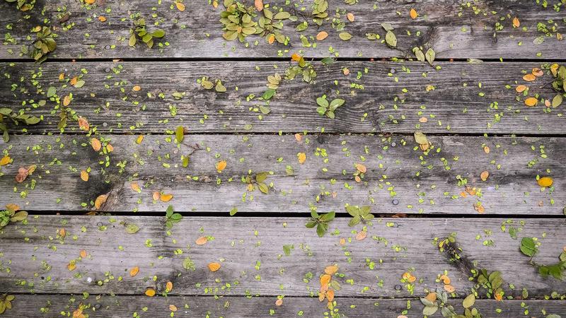 Featured image for Agntlog Com article