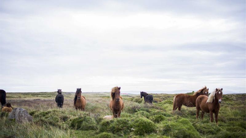 Featured image for Agntlog Com article