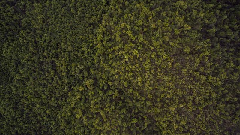 Featured image for Agntlog Com article