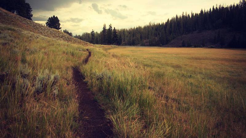 Featured image for Agntlog Com article