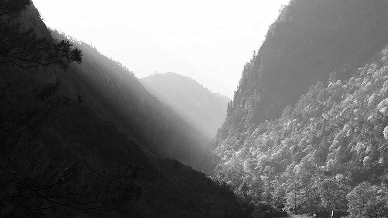 Featured image for Agntlog Com article