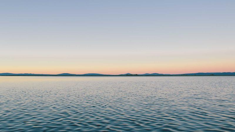 Featured image for Agntlog Com article