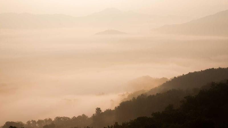 Featured image for Agntlog Com article