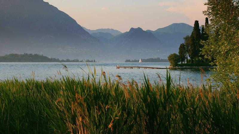 Featured image for Agntlog Com article