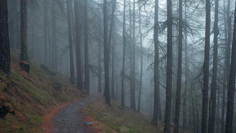 Featured image for Agntlog Com article