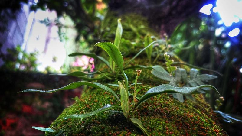 Featured image for Agntlog Com article